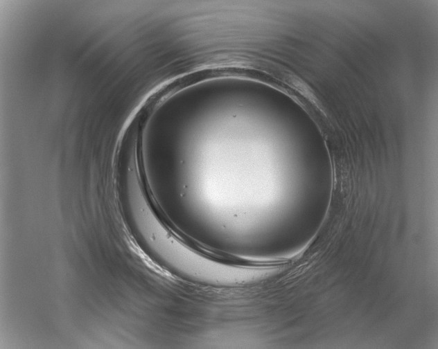 X0000061101116200511181056