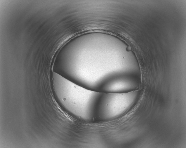 X0000061101121200511181056