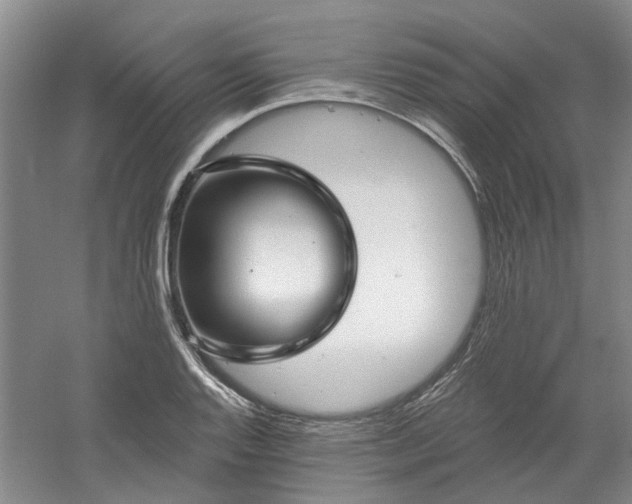 X0000061101128200511181056