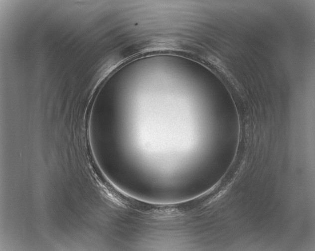 X0000061101129200511181056