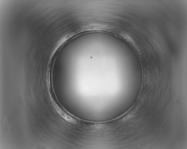 X0000061101130200511181056