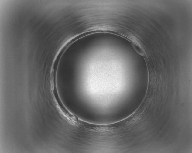 X0000061101132200511181056