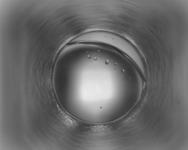 X0000061101137200511181056