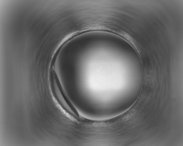 X0000061101142200511181056