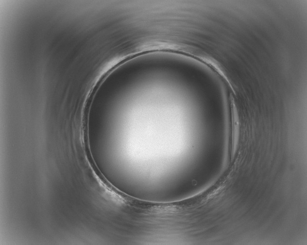 X0000061101143200511181056