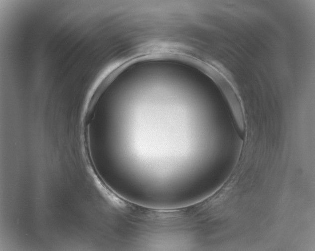 X0000061101152200511181056