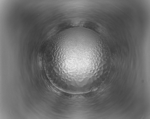 X0000061101154200511181056