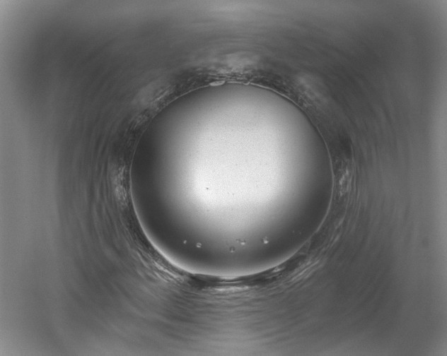 X0000061101156200511181056