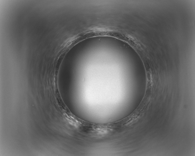 X0000061101157200511181056