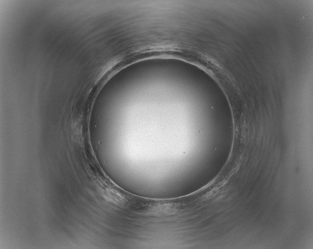 X0000061101162200511181055