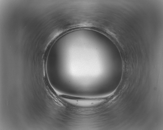 X0000061101171200511181055