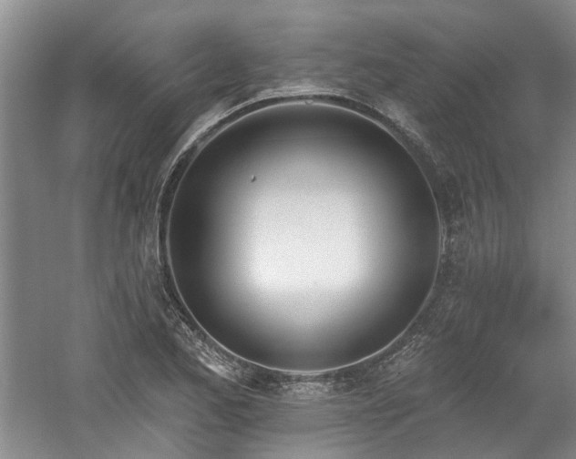 X0000061101173200511181055