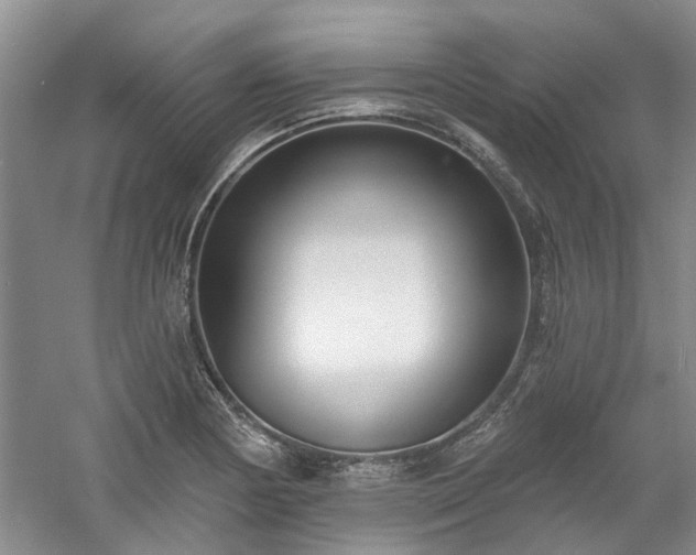 X0000061101178200511181055