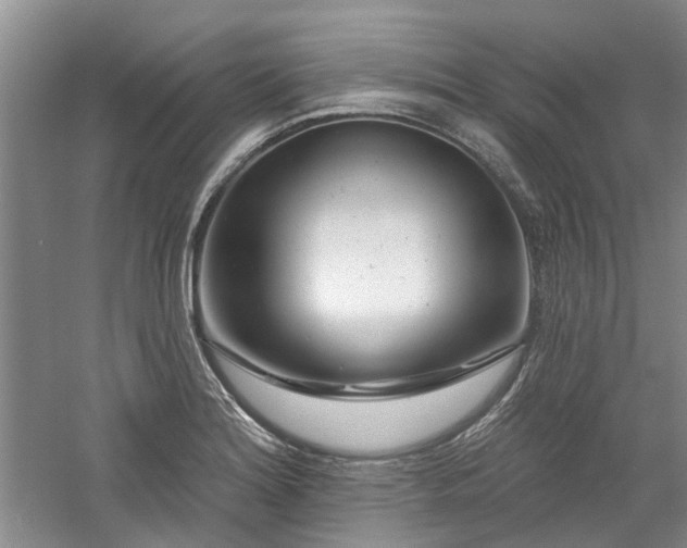 X0000061101180200511181055