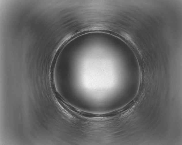 X0000061101181200511181055