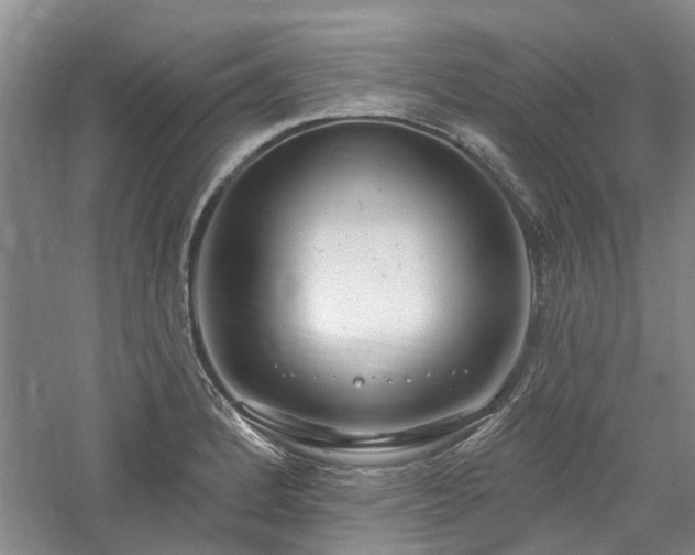 X0000061101184200511181055