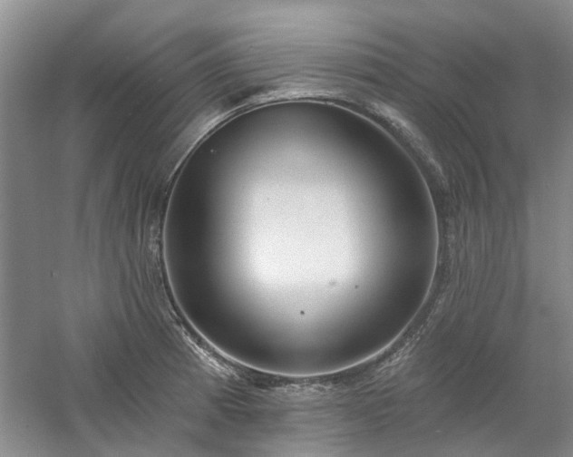 X0000061101185200511181055