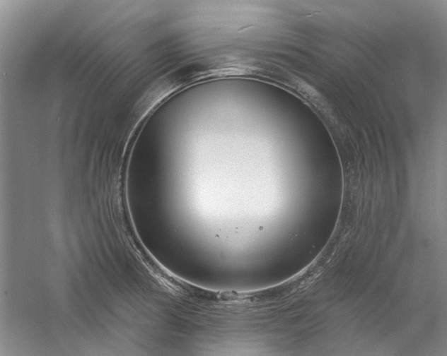 X0000061101186200511181055