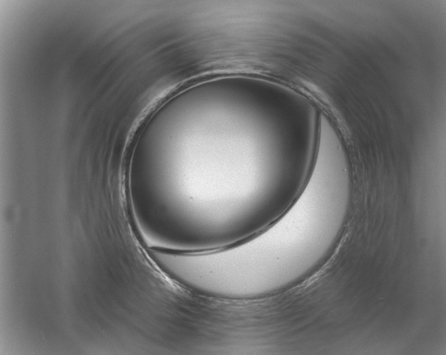 X0000061101188200511181055