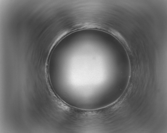 X0000061101190200511181055
