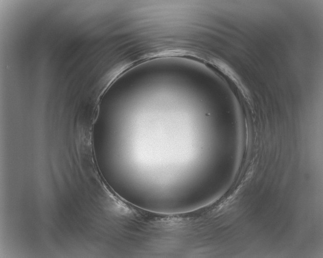 X0000061101193200511181055