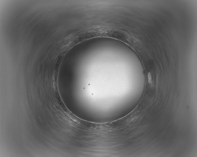 X0000061101203200511181054