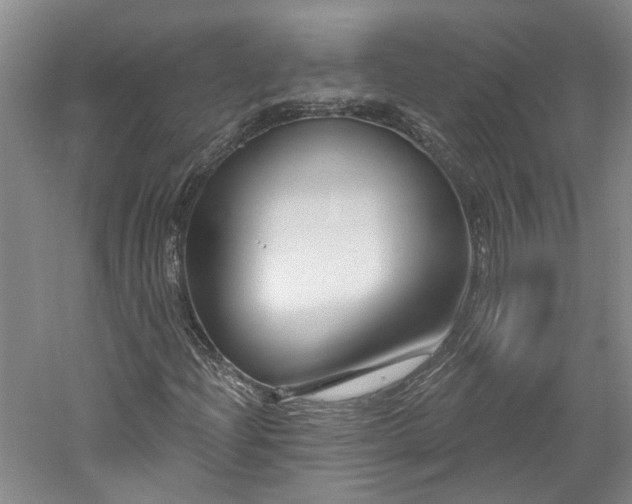 X0000061101204200511181054