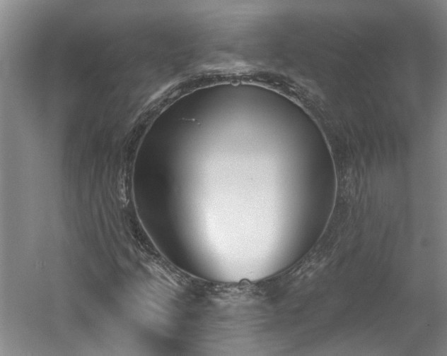 X0000061101205200511181054