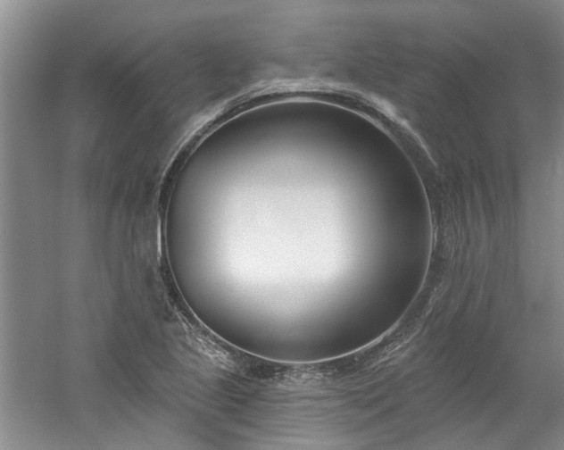 X0000061101221200511181054