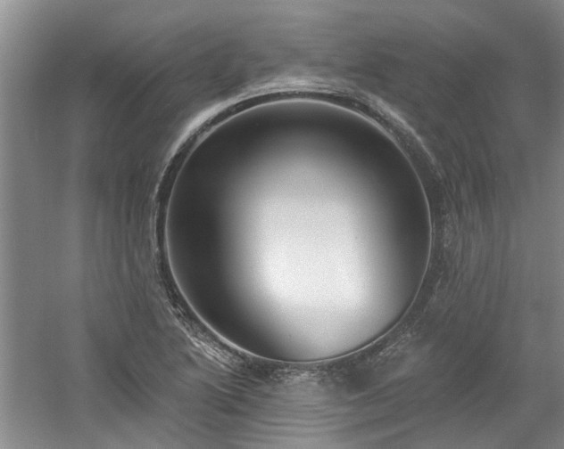X0000061101222200511181054