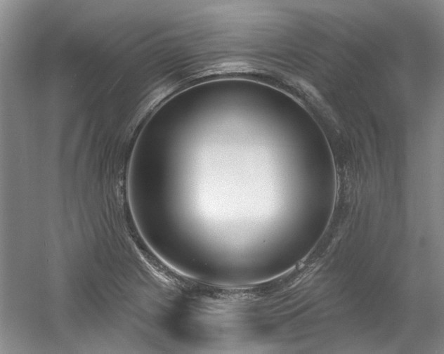 X0000061101225200511181054