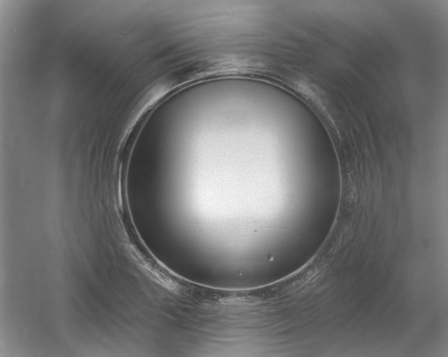 X0000061101227200511181054