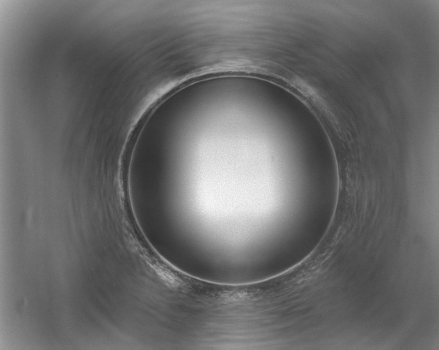 X0000061101230200511181055