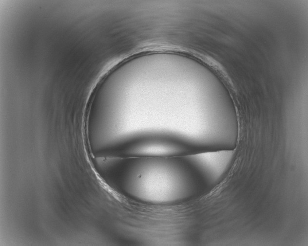 X0000061101231200511181055