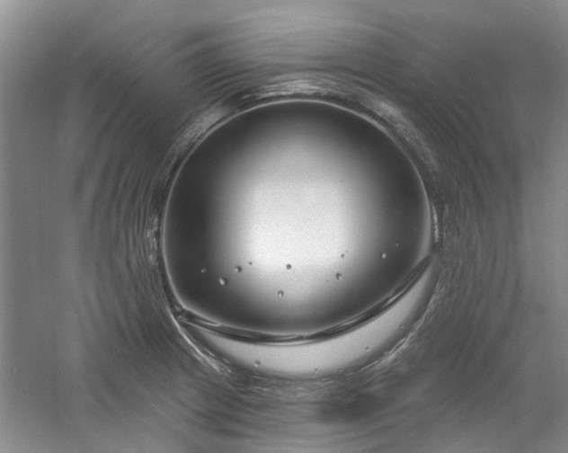 X0000061101233200511181055