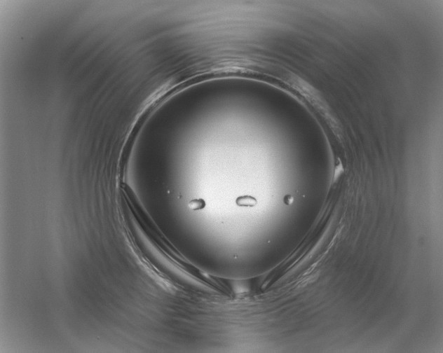 X0000061101234200511181055