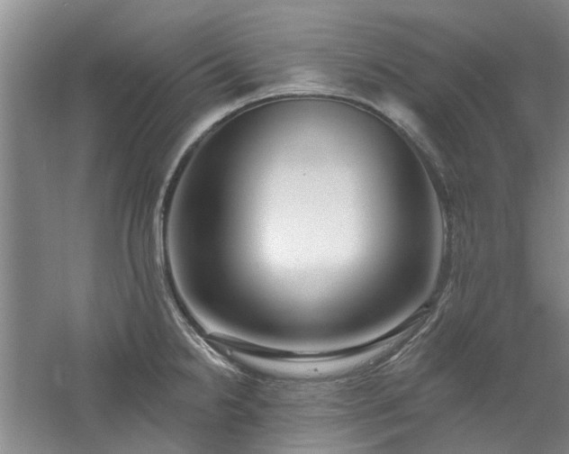 X0000061101238200511181055