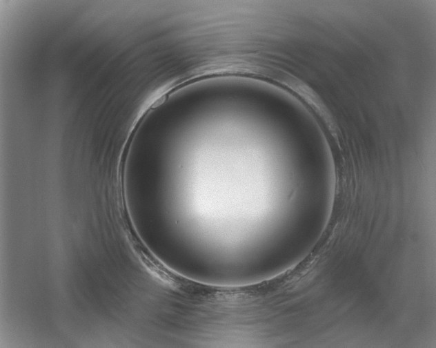 X0000061101242200511181055