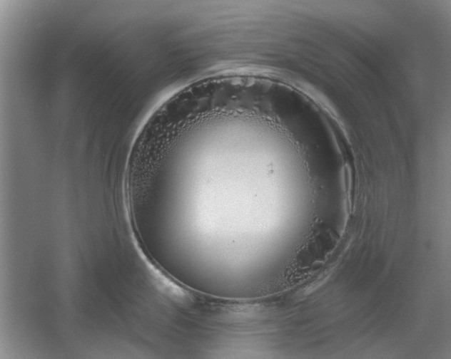 X0000061101247200511181055