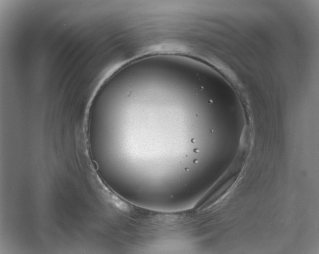 X0000061101248200511181055