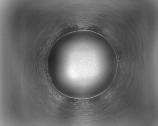 X0000061101249200511181054