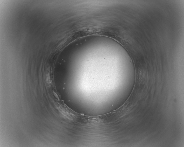 X0000061101250200511181054