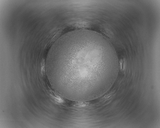 X0000061101251200511181054