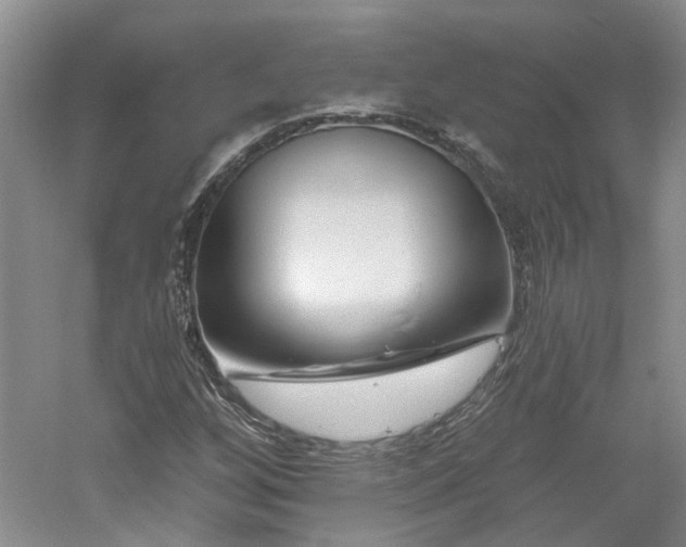 X0000061101256200511181054