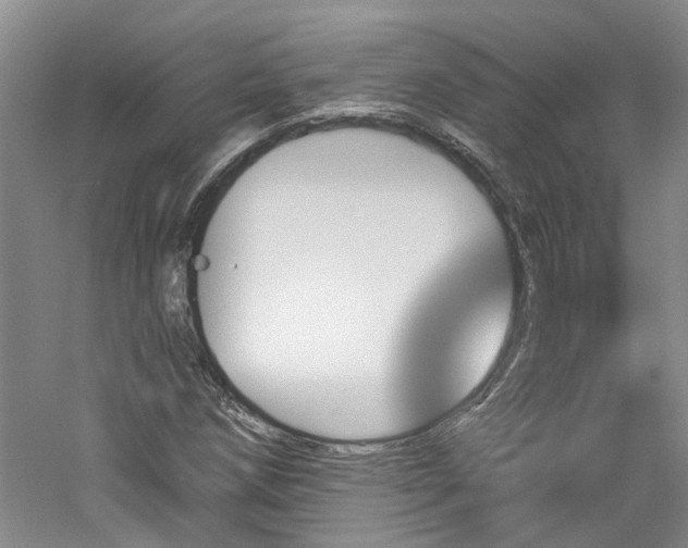 X0000061101258200511181054