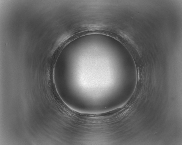 X0000061101261200511181054