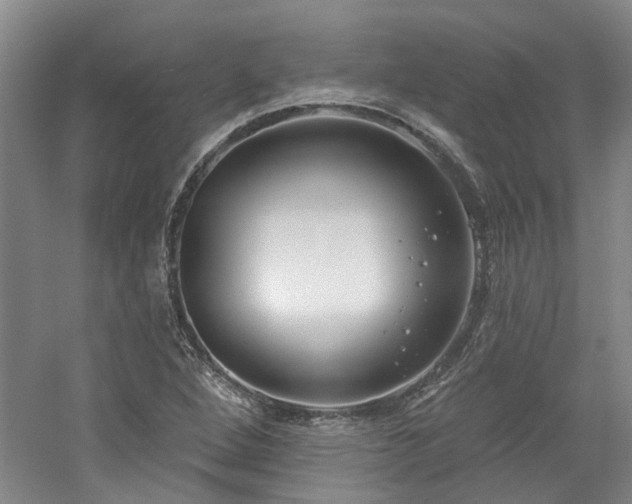 X0000061101264200511181054