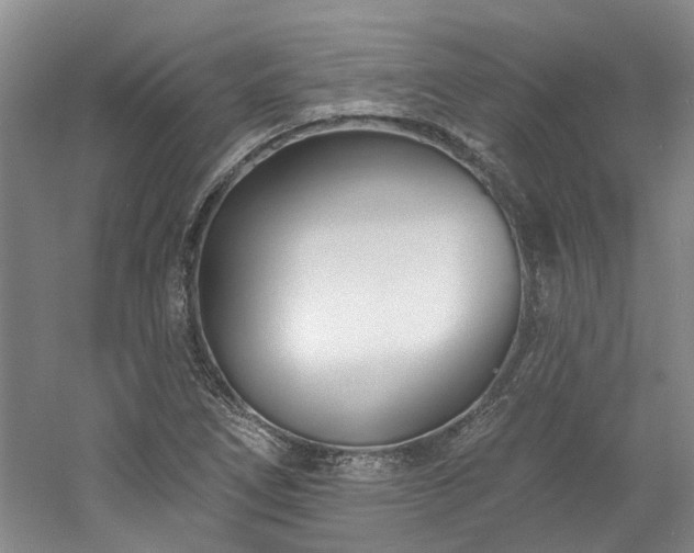 X0000061101266200511181054