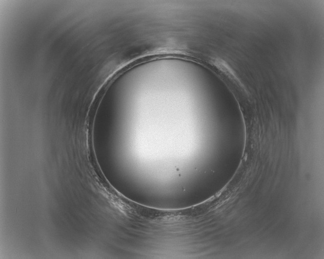 X0000061101268200511181054