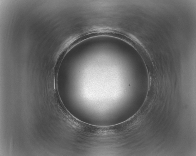 X0000061101269200511181054